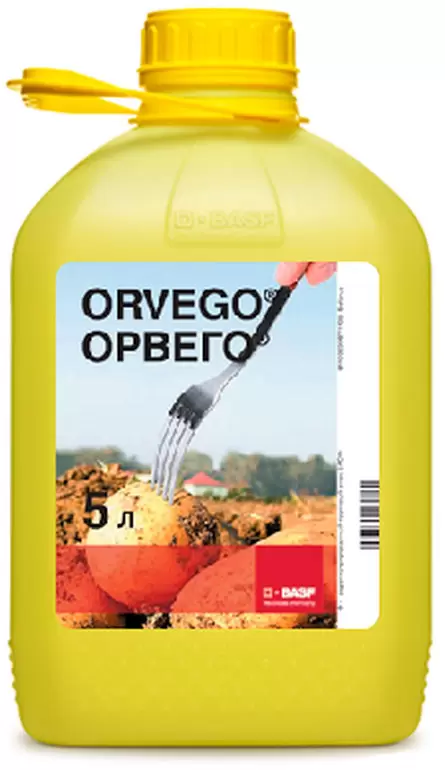 Орвего, КС