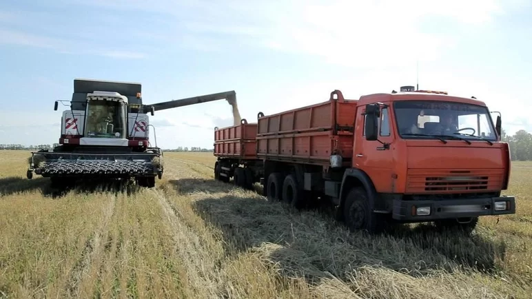 Минсельхоз увеличит до 6,3 млрд рублей расходы на зерновые интервенции в 2023 г