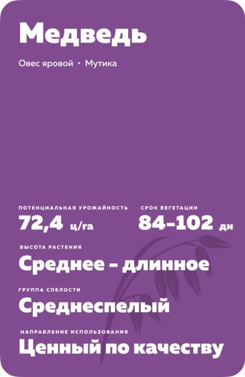 Медведь