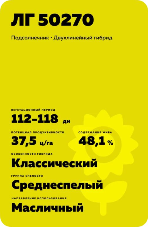 ЛГ 50270 подсолнечник