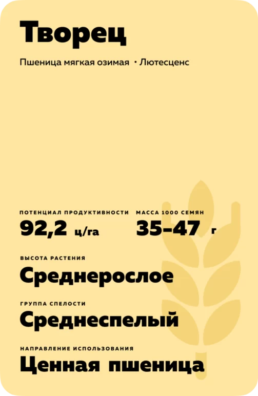 Творец сорт мягкой озимой пшеницы