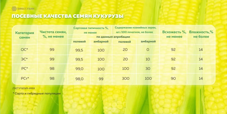 Требования к качеству семян кукурузы