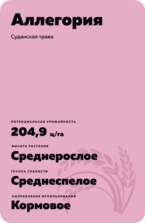 Аллегория