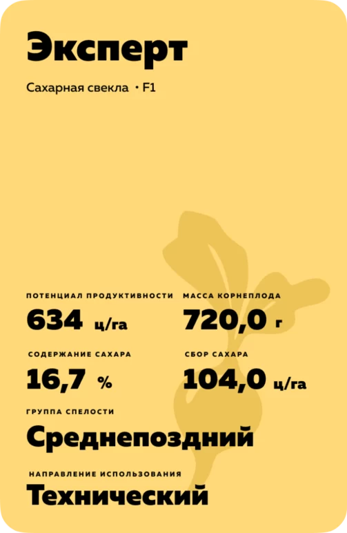 Эксперт