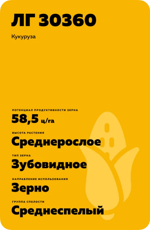 ЛГ 30360 гибрид кукурузы