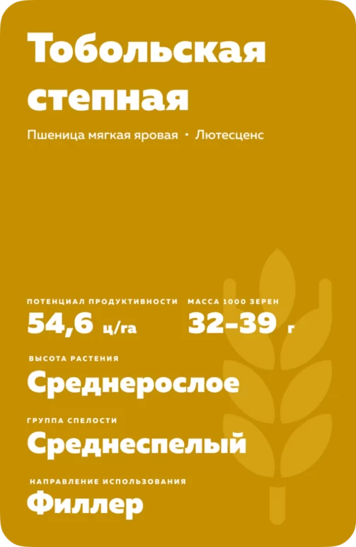 Тобольская степная