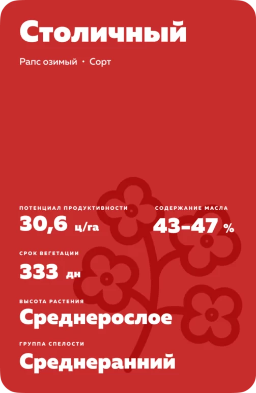 Столичный рапс озимый