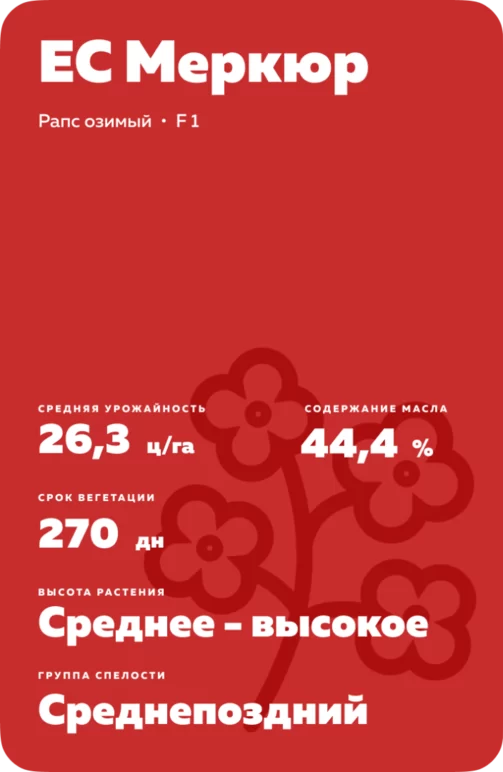 ЕС Меркюр - рапс озимый. Характеристики и отзывы