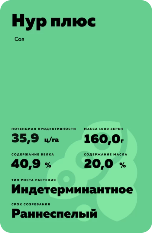 Нур плюс