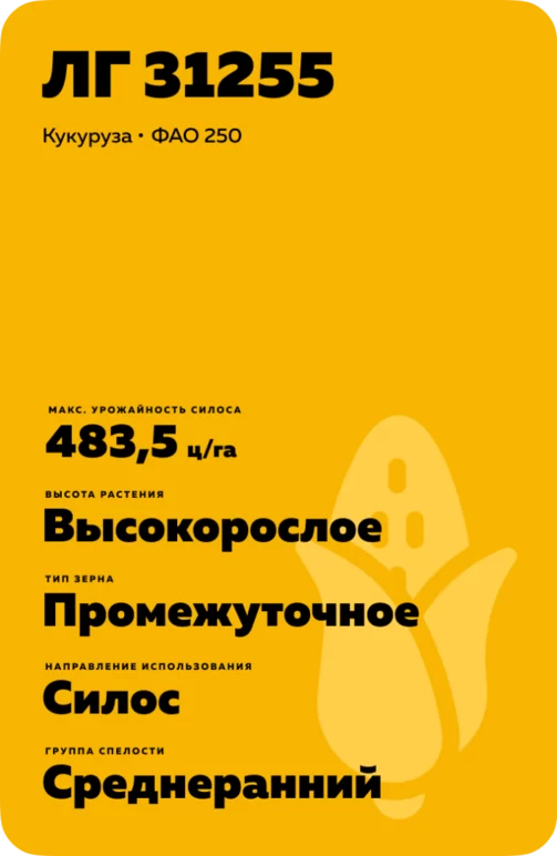 ЛГ 31255 гибрид кукурузы