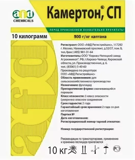 Камертон, СП