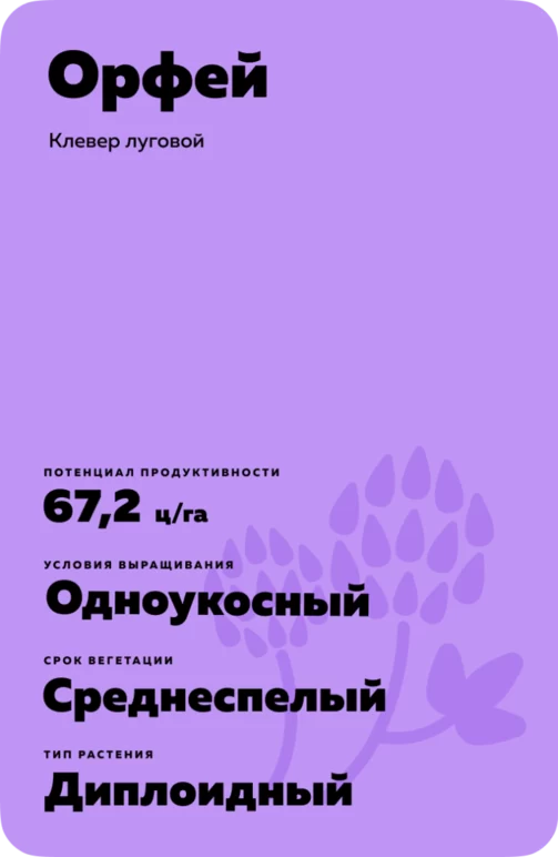 Орфей
