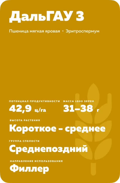 ДальГАУ 3 ® сорт мягкой яровой пшеницы