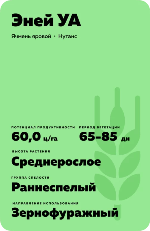Эней УА ячмень яровой