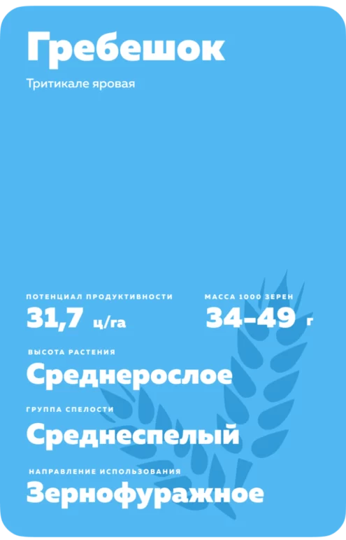 Гребешок