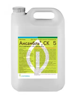 Ансамбль, КС