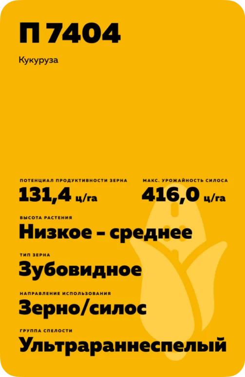 П 7404 - гибрид кукурузы Пионер