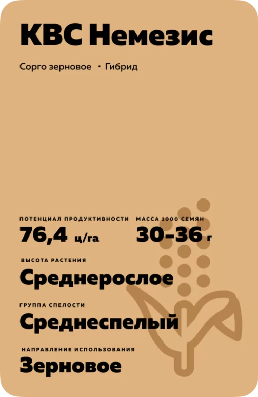 КВС Немезис (KWS NEMESIS) сорго зерновое