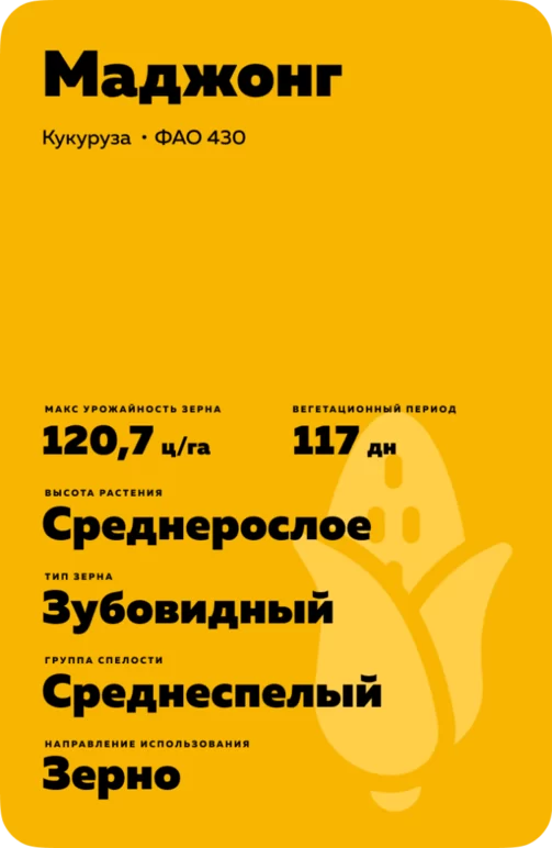 Маджонг (MAJONG) гибрид кукурузы