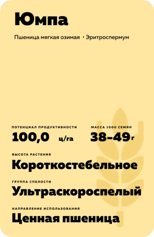 Юмпа сорт мягкой озимой пшеницы