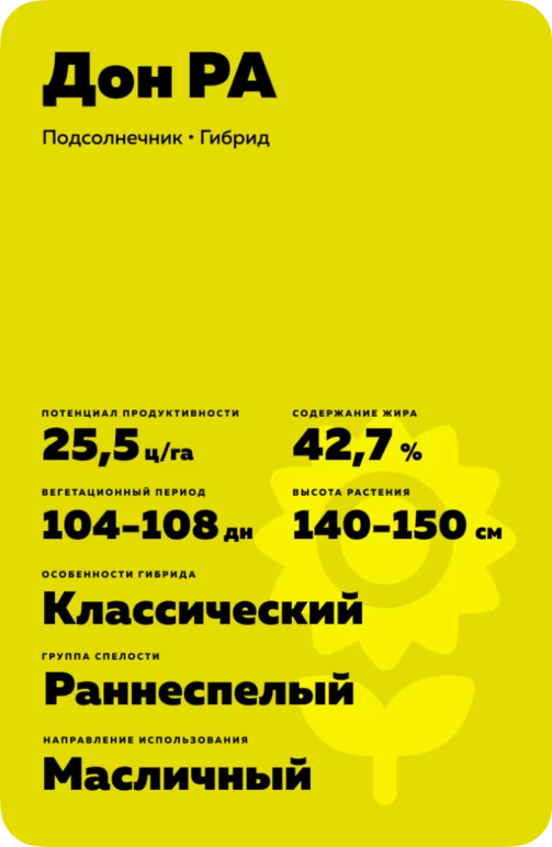 Дон РА