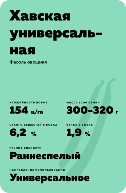 Хавская универсальная