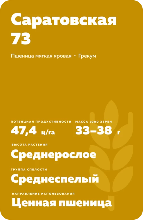 Саратовская 73  сорт мягкой яровой пшеницы