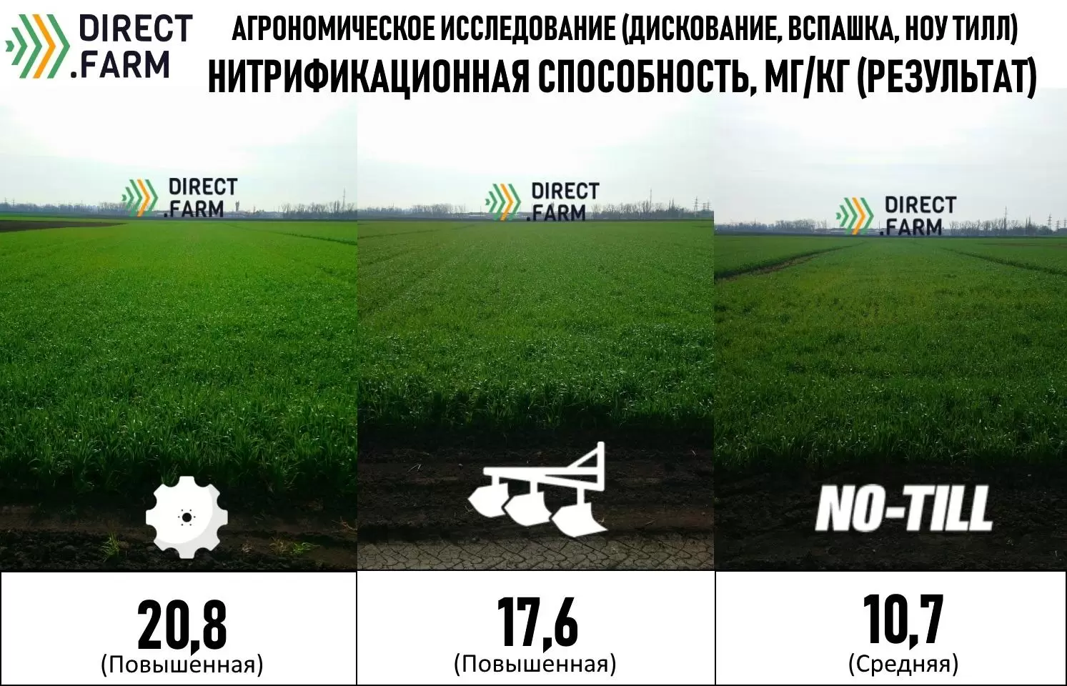 Принципы и ошибки No-Till: предупрежден, значит - вооружён