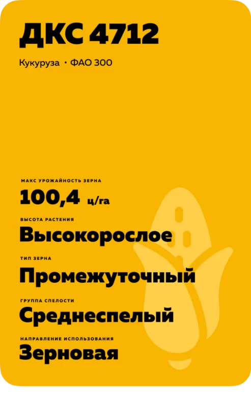ДКС 4712 гибрид кукурузы