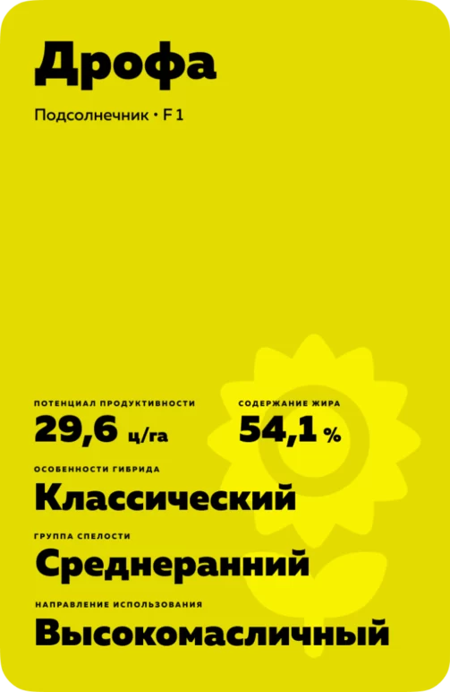 Дрофа
