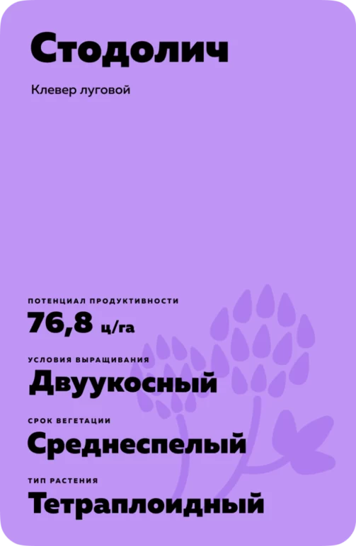 Стодолич
