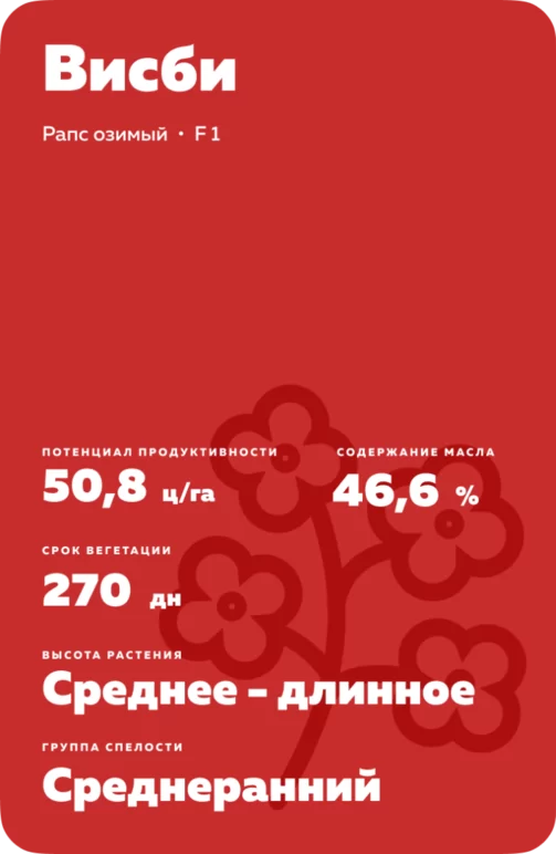 Висби (VISBY) рапс озимый