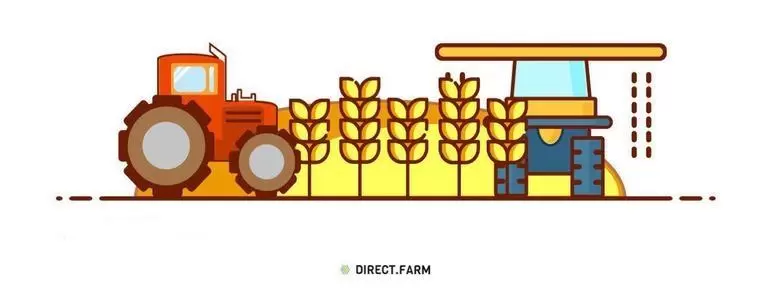 Технология возделывания яровой пшеницы