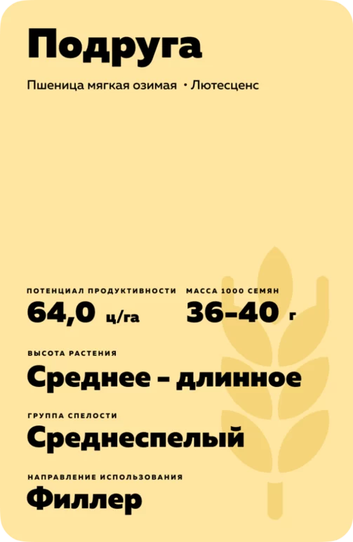 Подруга