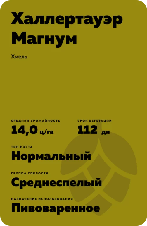 Халлертауэр Магнум