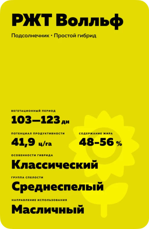 РЖТ Волльф (RGT WOLLF) гибрид подсолнечника