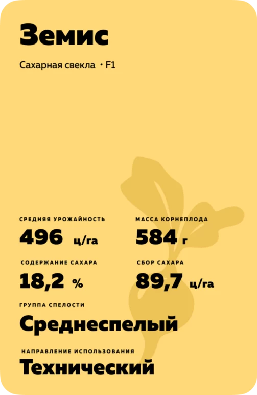 Земис