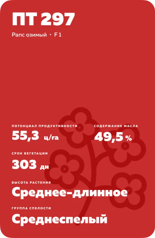 ПТ 297 - гибрид озимого рапса  (Brassica napus var. napus).