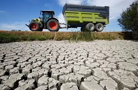 Из-за сильной засухи в Европе прогнозируется сокращение урожая подсолнечника