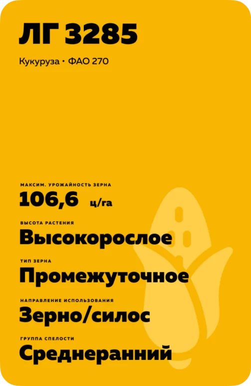 ЛГ 3285 гибрид кукурузы Лимагрейн