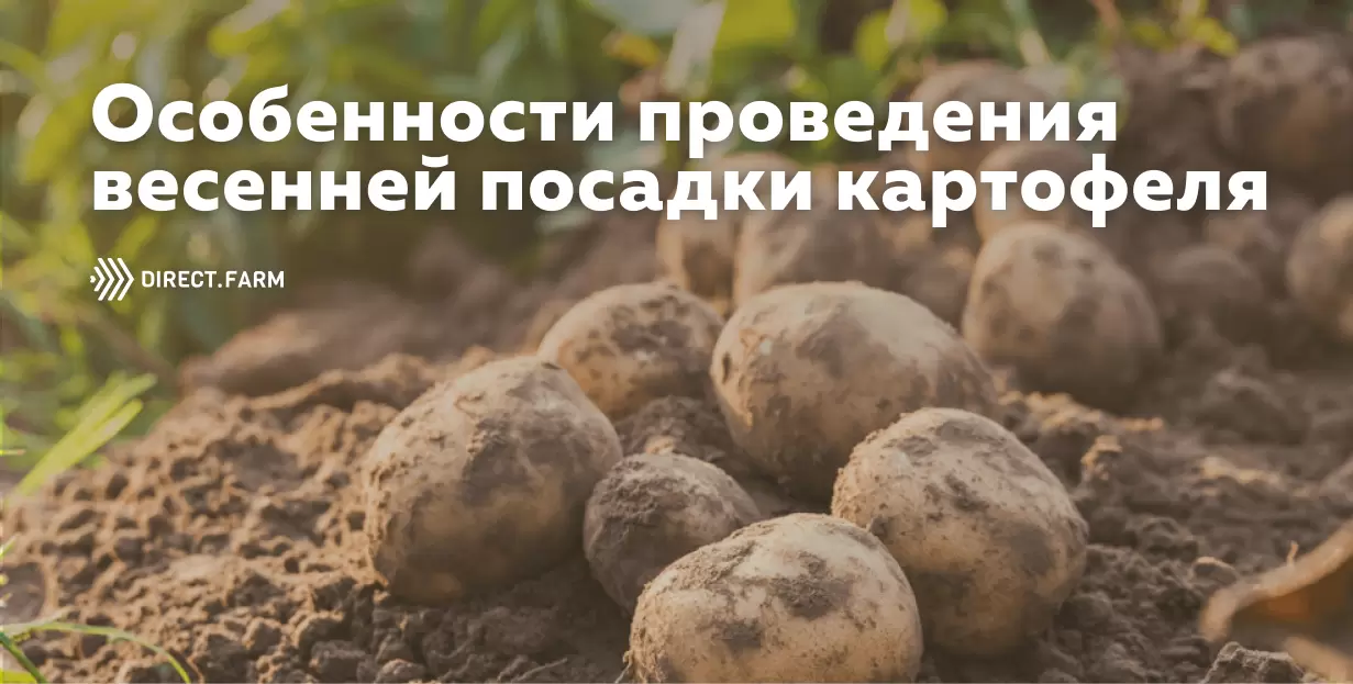 ЛПХ-зависимый агро. 77% сельхозпродукции в Забайкальском крае производят хозяйства населения