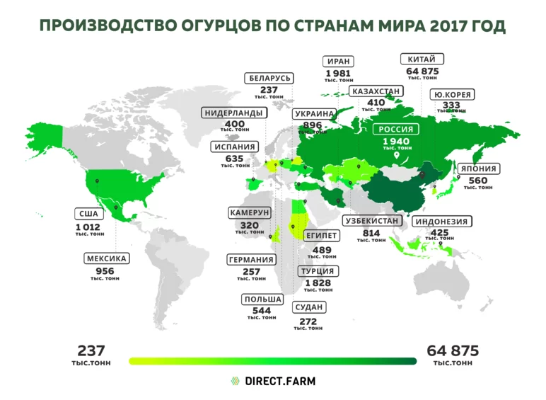 Производство огурцов по странам мира 2017 год