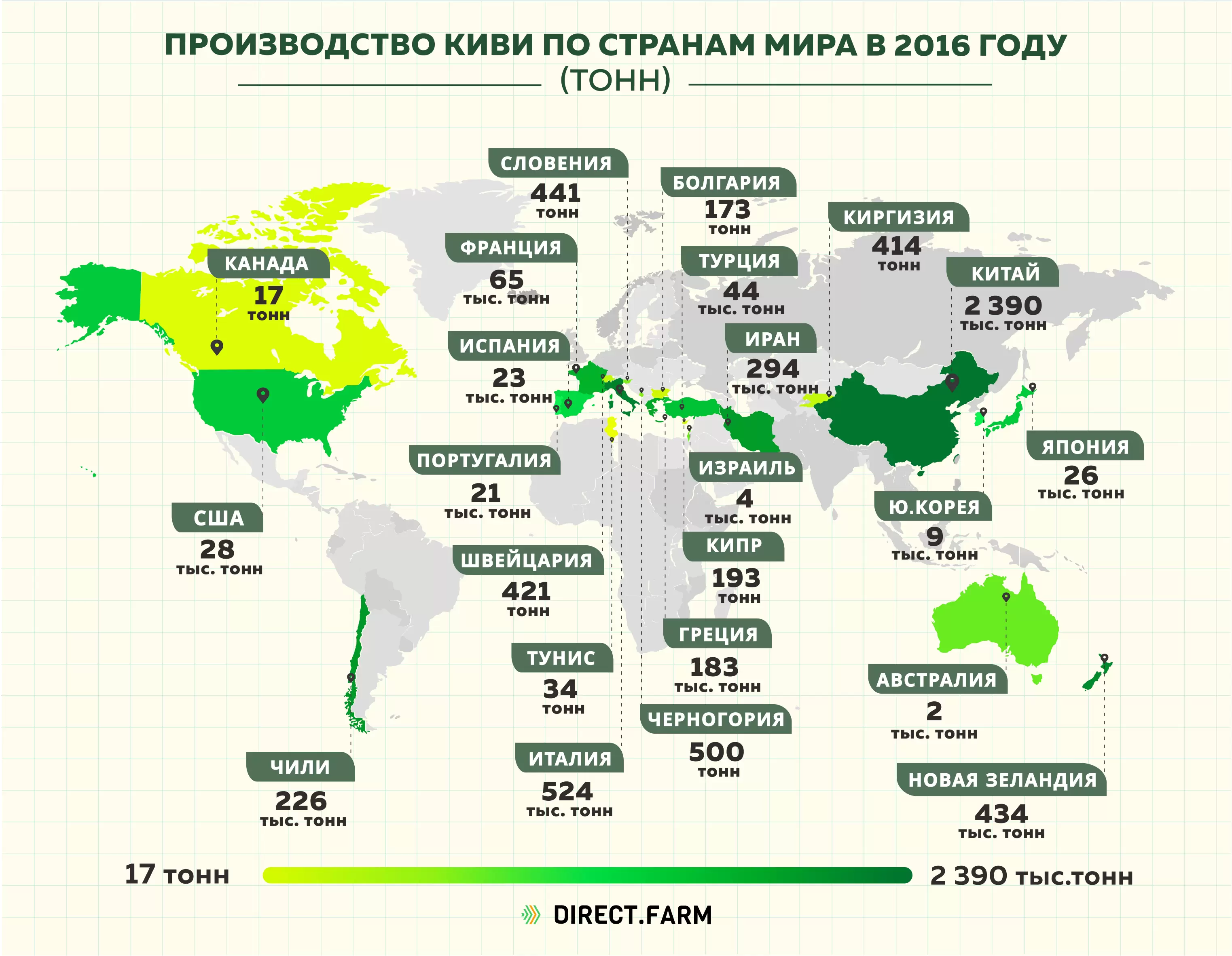 Страны-лидеры по производству киви