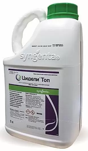 Цидели Топ, ДК