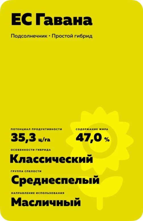 ЕС Гавана