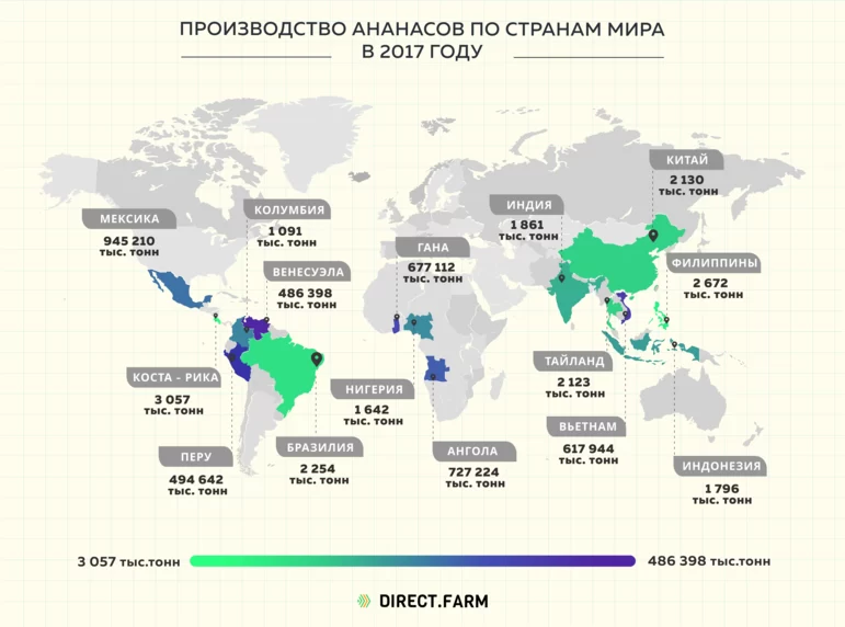 Мировое производство ананасов в 2017 году