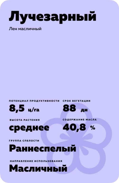 Лучезарный сорт льна масличного