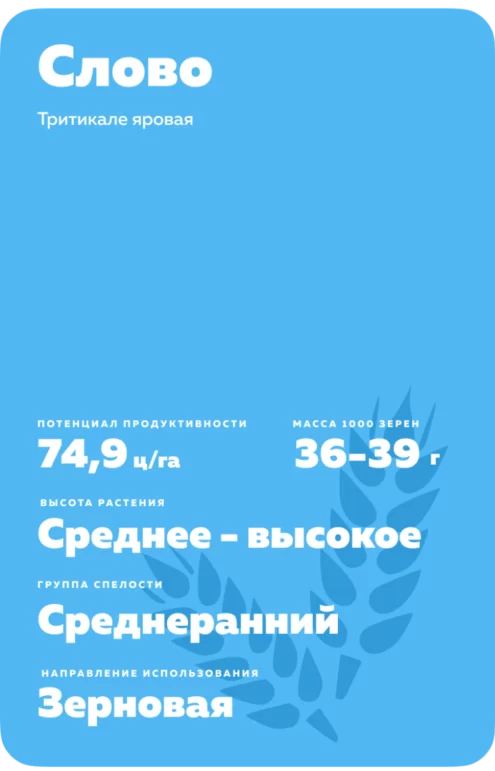 Слово