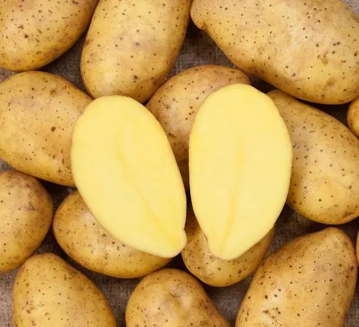 Садон - картофель. Характеристики и отзывы