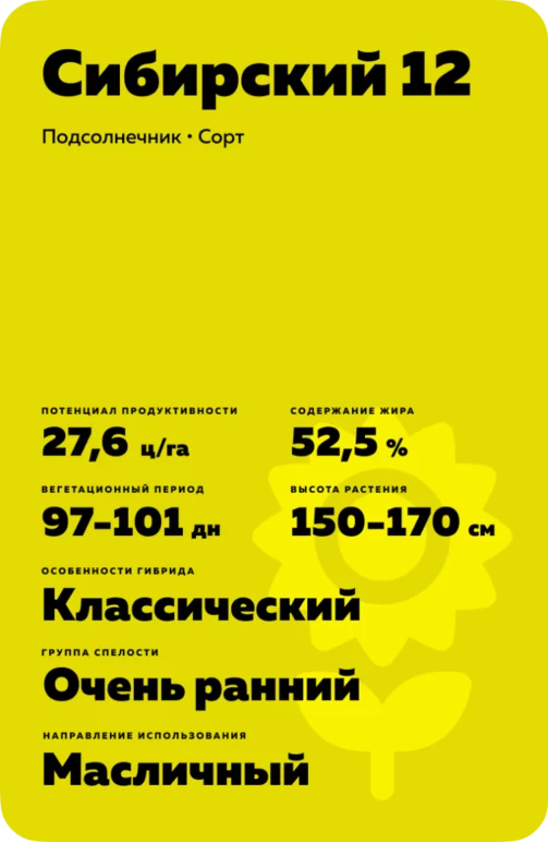 Сибирский 12 сорт подсолнечника